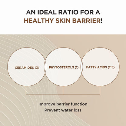 Skin1004 Madagascar Centella Probio Cica Intensive Ampoule 100 ML